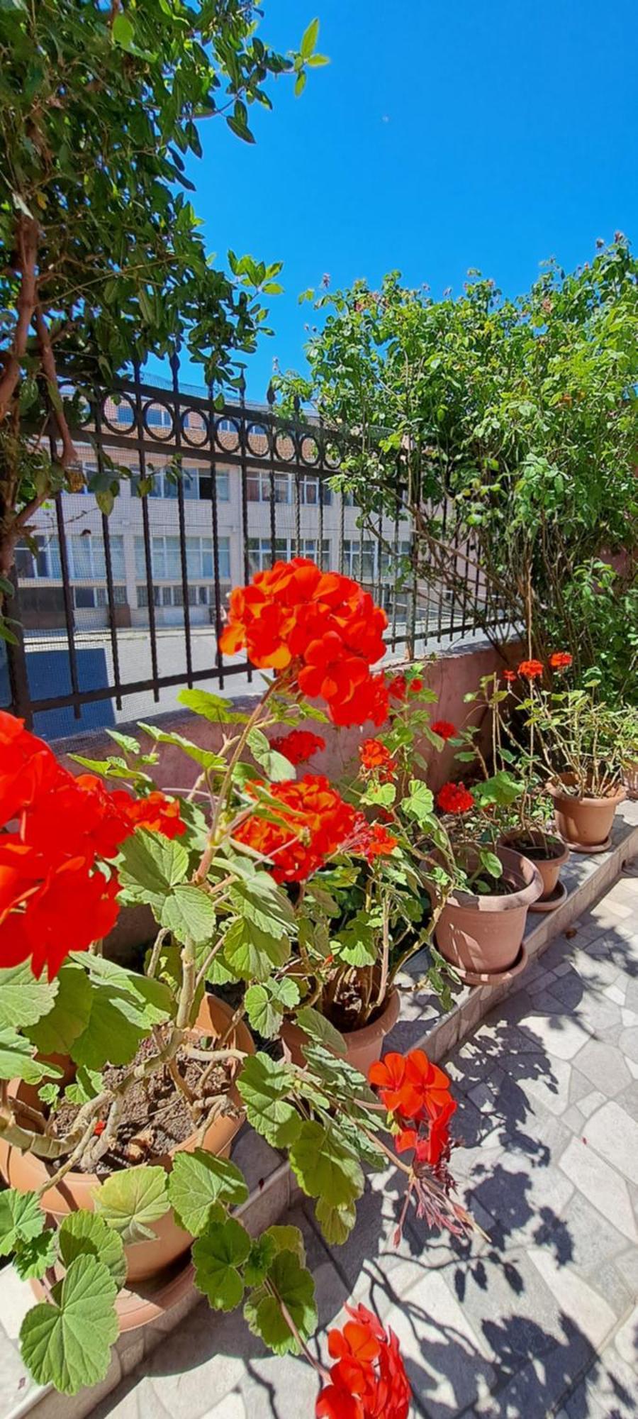 Appartement Golden Life Gl